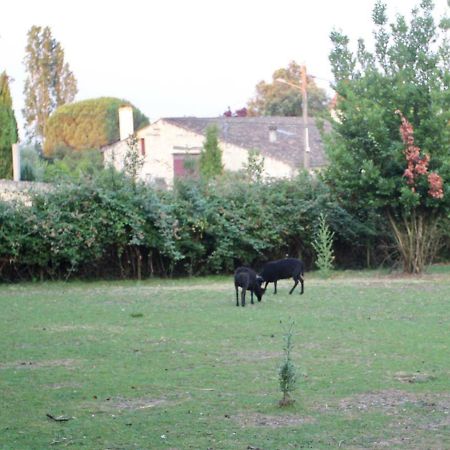 Le Clos Du Gorion Hotell Saint-Sulpice-et-Cameyrac Eksteriør bilde