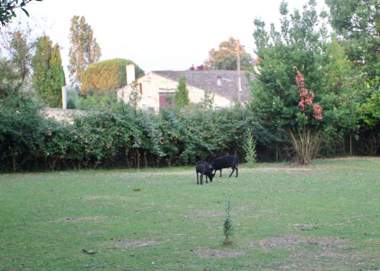 Le Clos Du Gorion Hotell Saint-Sulpice-et-Cameyrac Eksteriør bilde