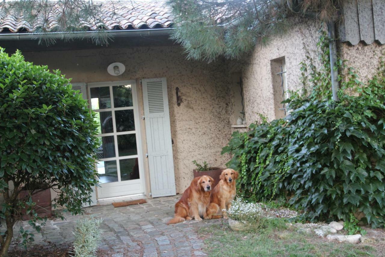 Le Clos Du Gorion Hotell Saint-Sulpice-et-Cameyrac Eksteriør bilde